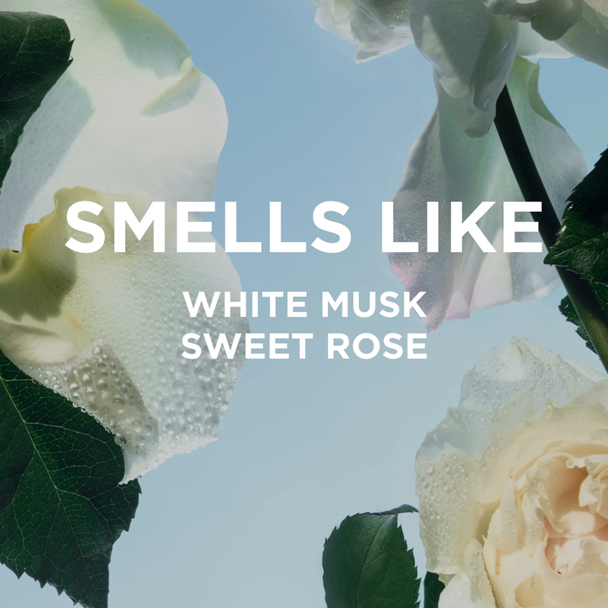 ROSIE BODY MILK - Image 3